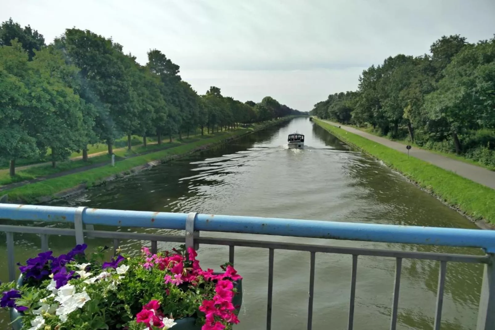 Boshuis het Eekhoorntje-Gebieden zomer 20km