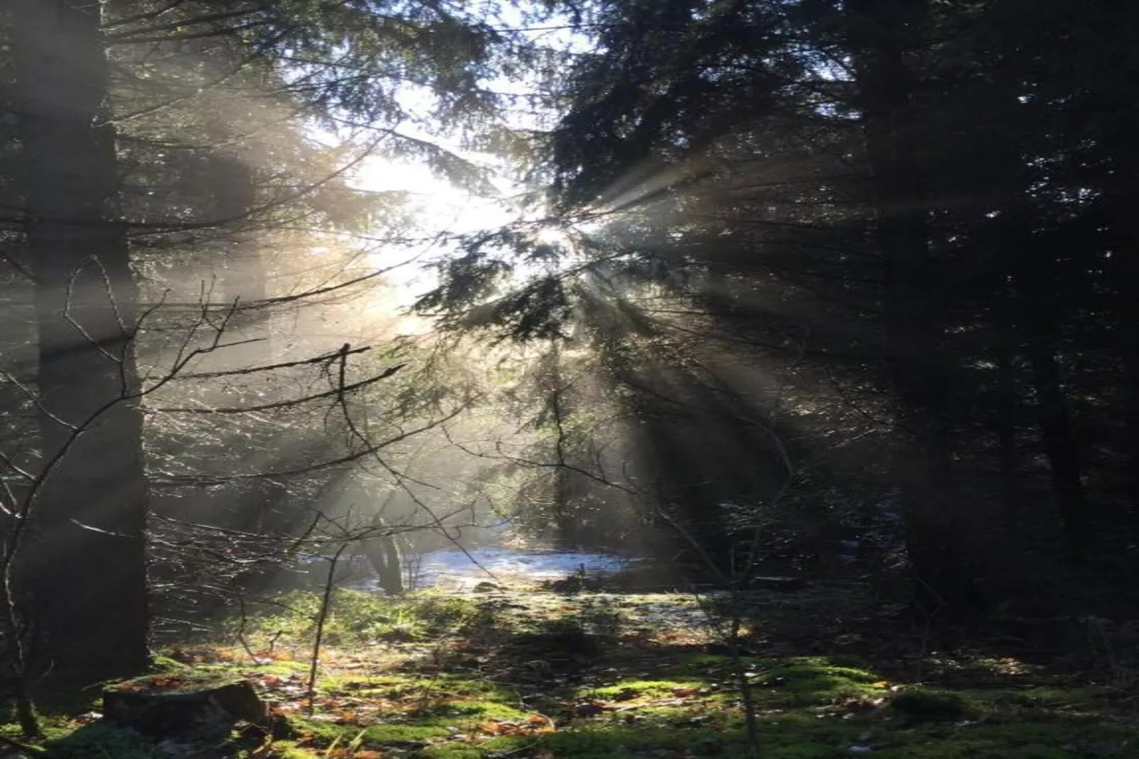 Holzhaus Ute-Gebieden zomer 20km