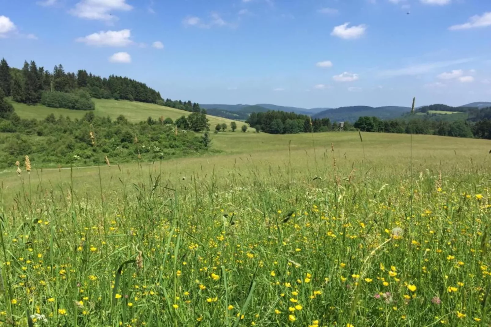 Ferienwohnung II Diemelsee-Gebieden zomer 5km