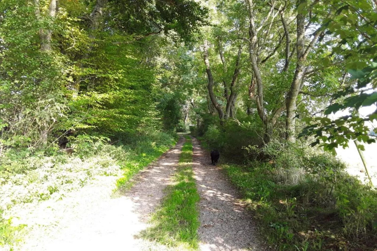 Morsbacher Hof I-Gebieden zomer 20km