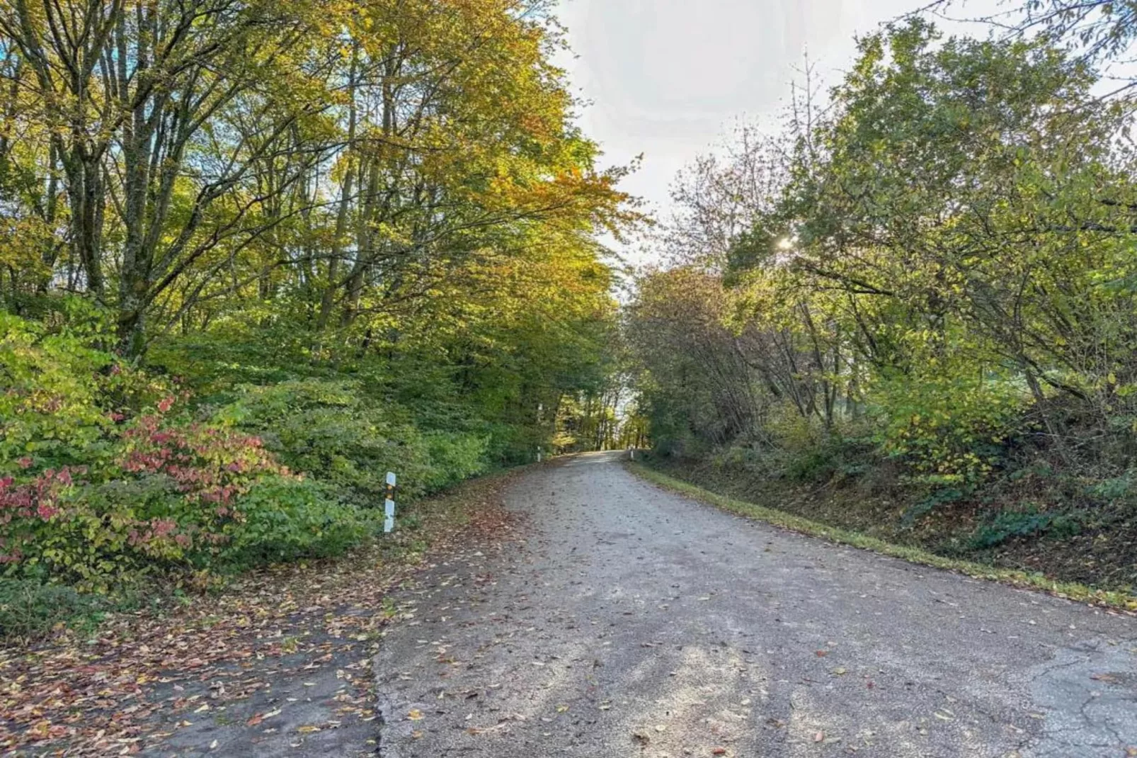 Am Grünen Wald-Gebieden zomer 20km