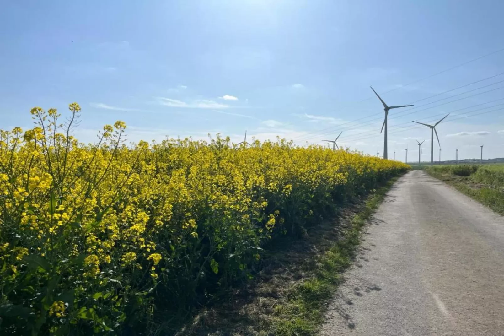 Kaifenheimer Mühle 1-Gebieden zomer 20km