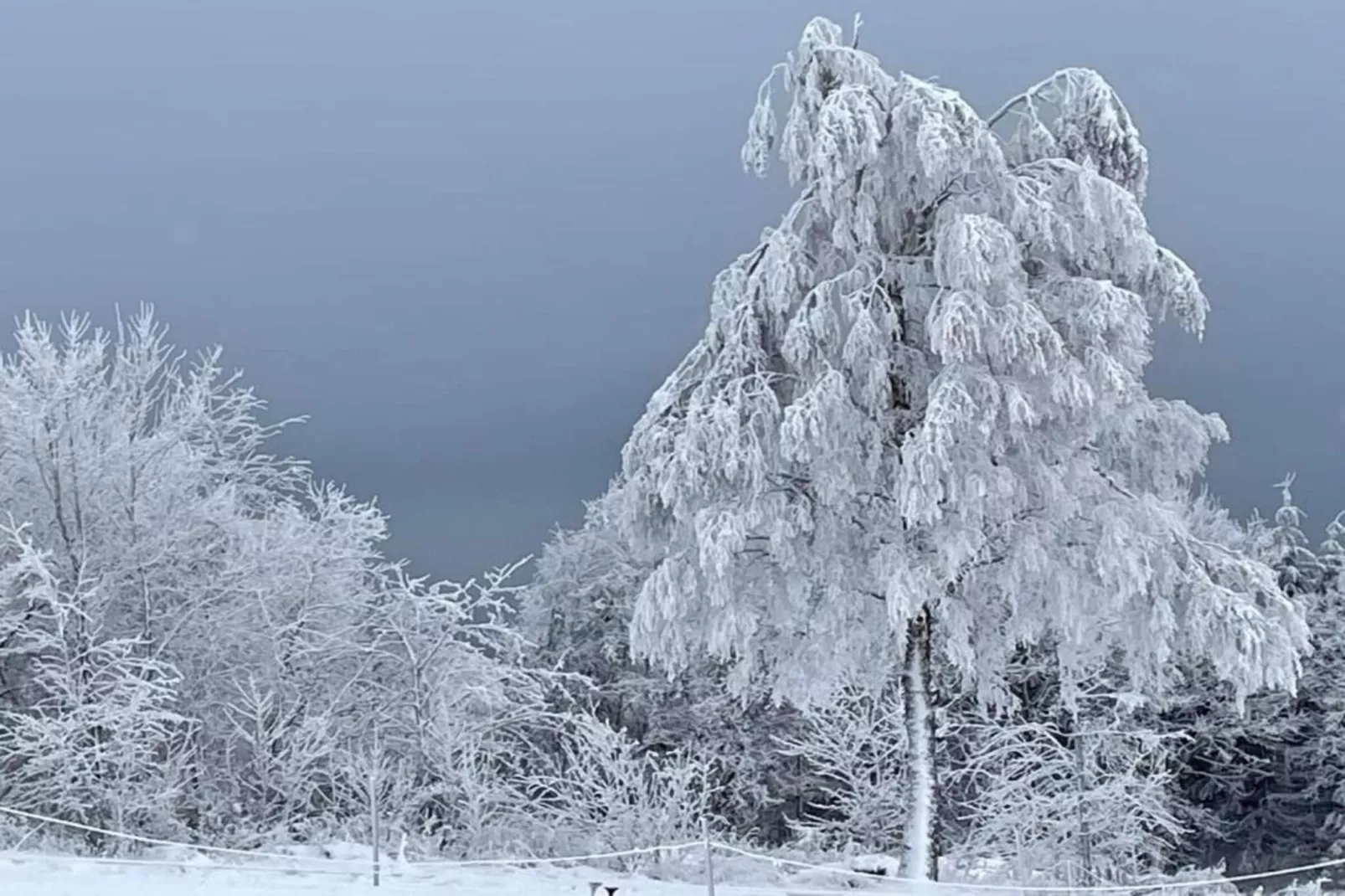 Küstelberg-Gebied winter 20km