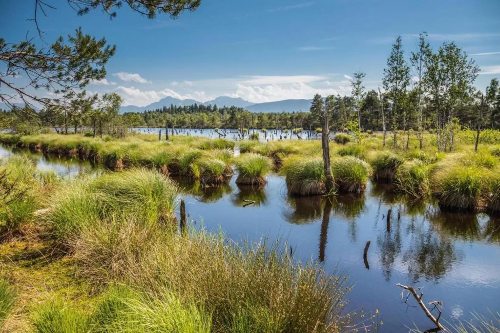 Almhütte-Gebieden zomer 20km