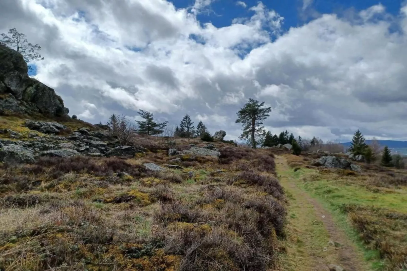 Bayerischer Wald-Gebieden zomer 20km