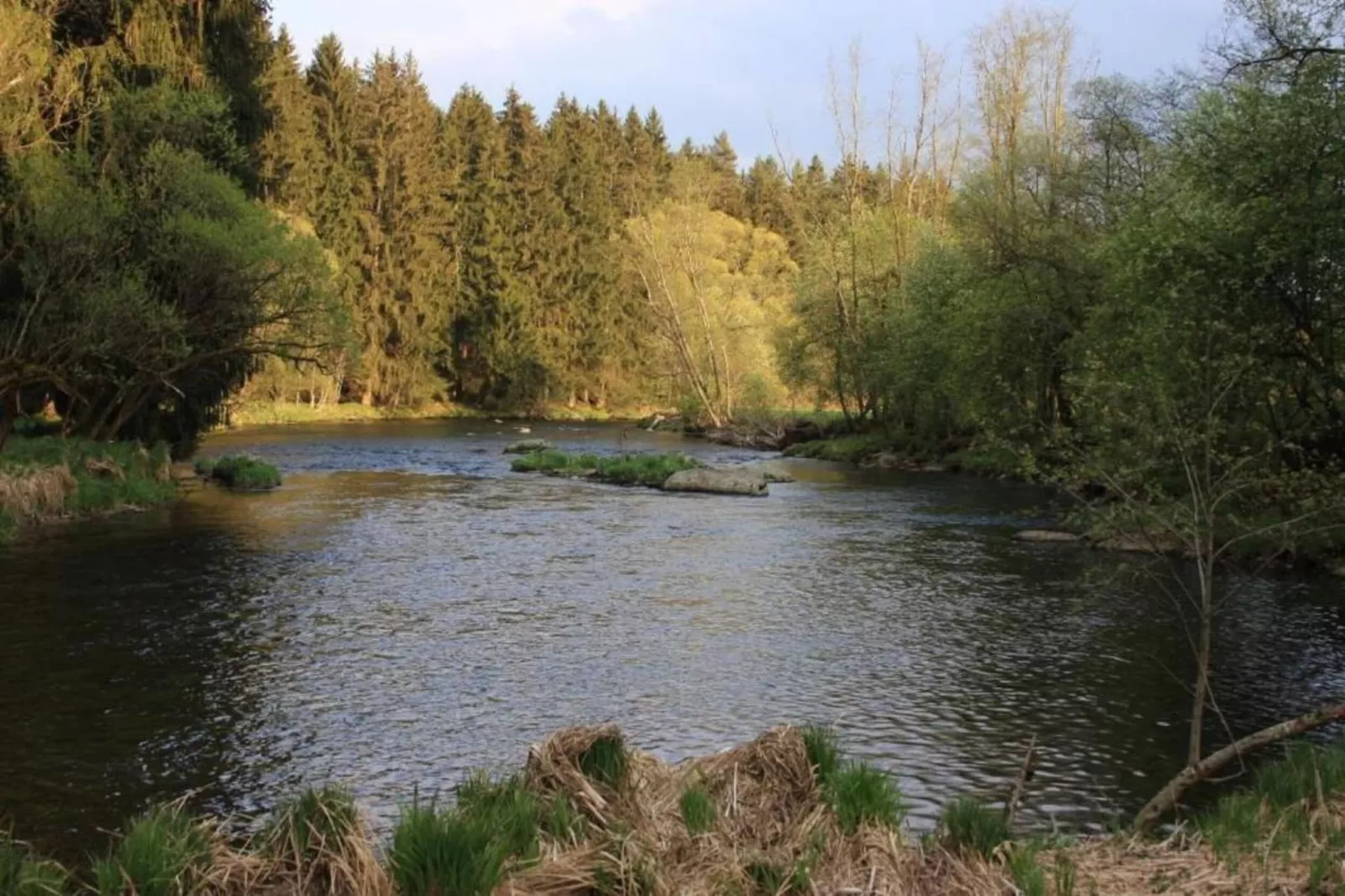 Waldferien-Gebieden zomer 20km