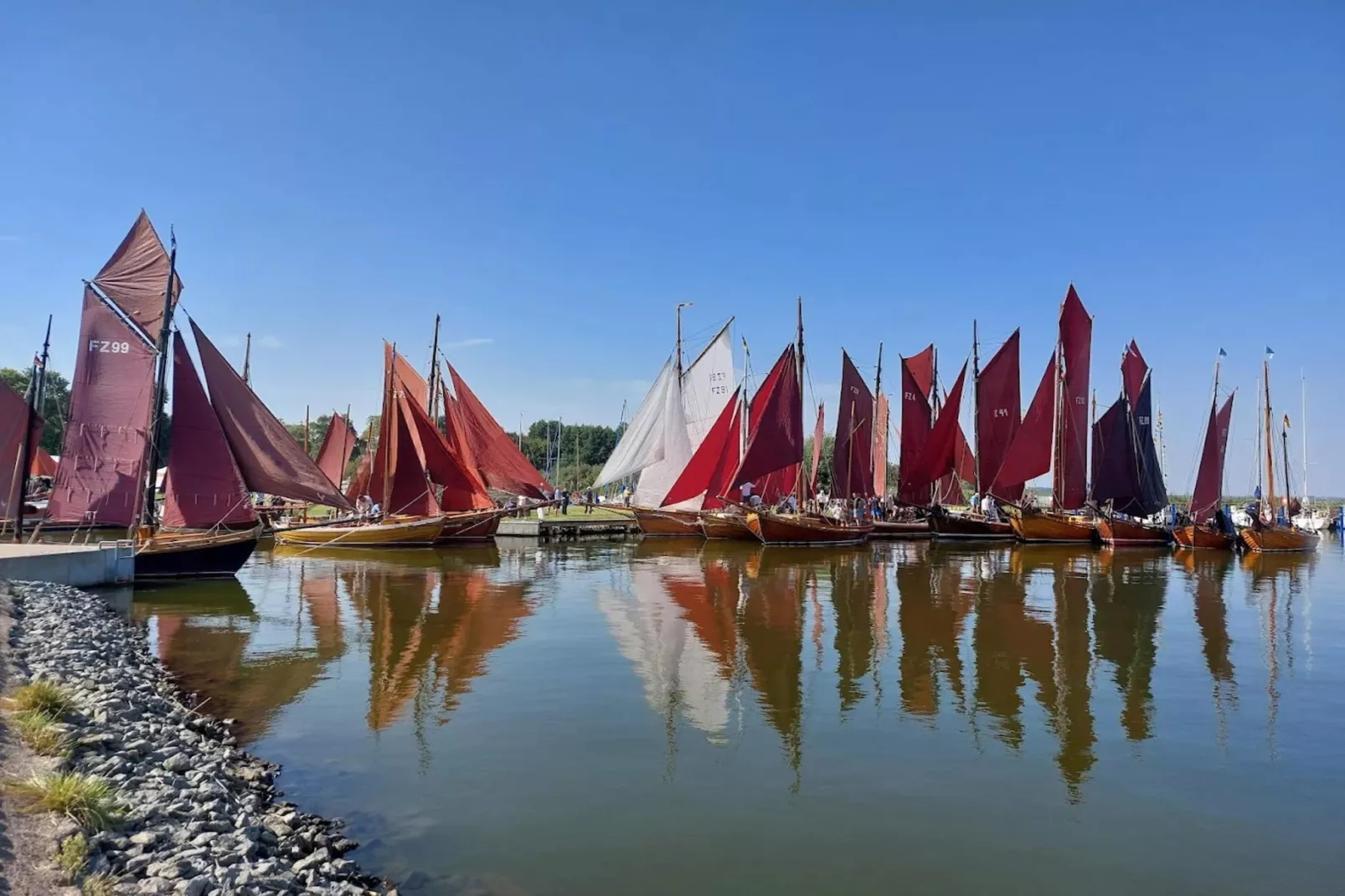 Seeschwalbe 44-Gebieden zomer 1km