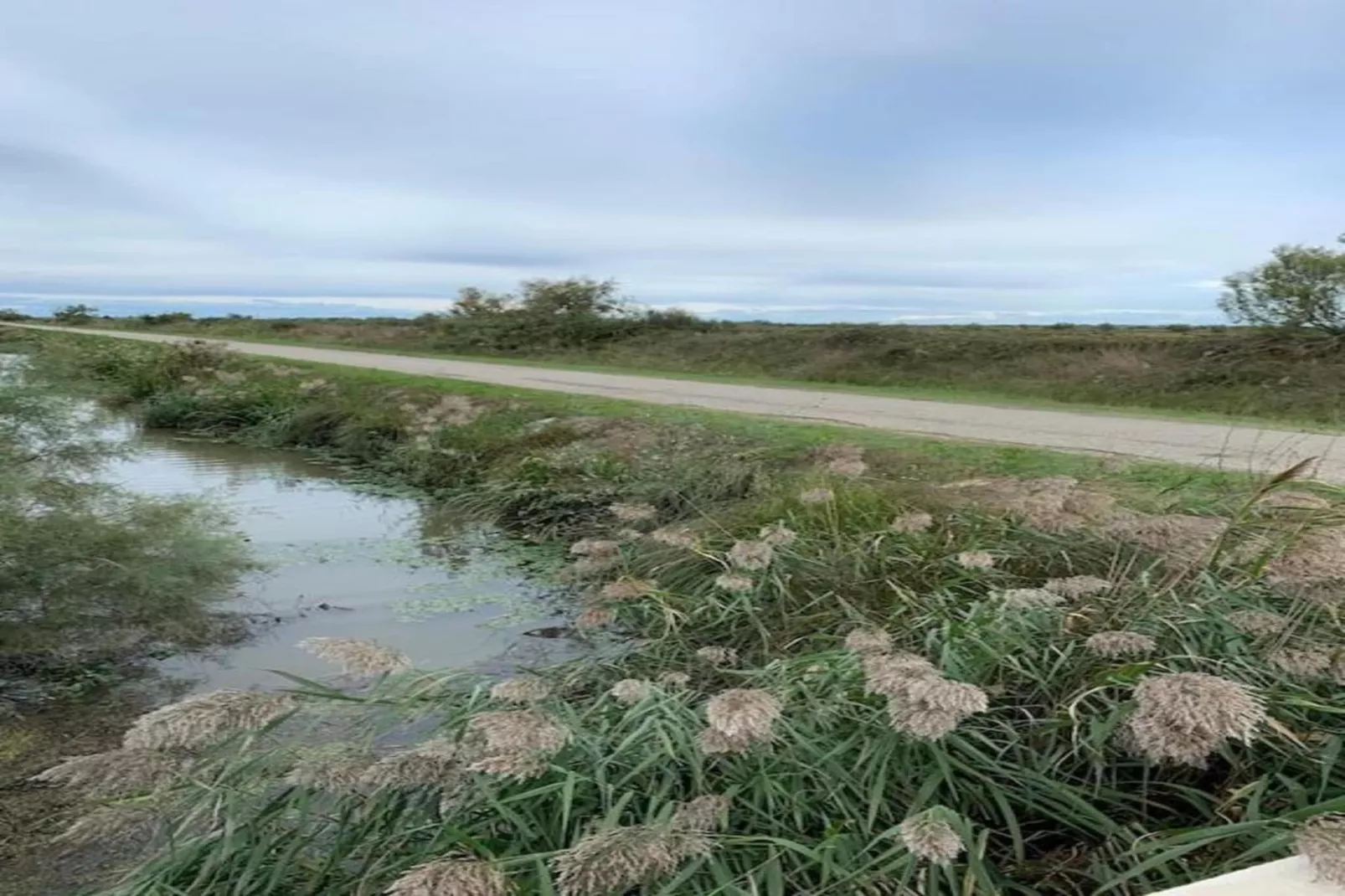 Le village Camarguais Les Gardians 4-Gebieden zomer 20km