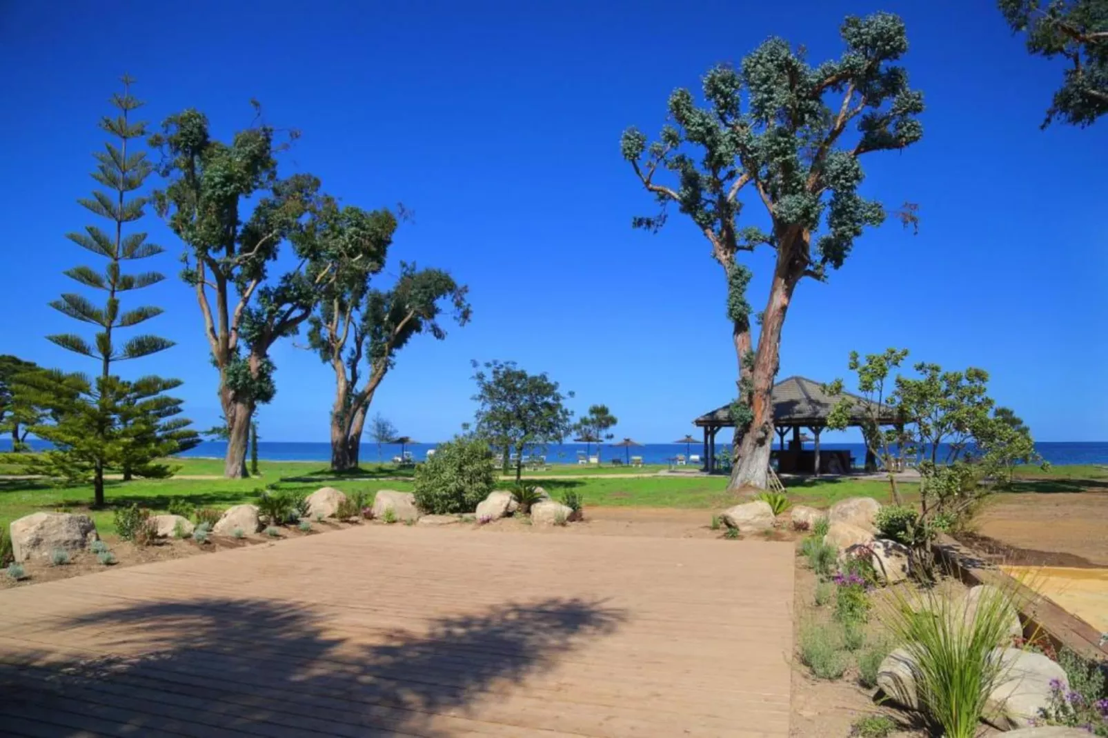 La Safari-Gebieden zomer 1km