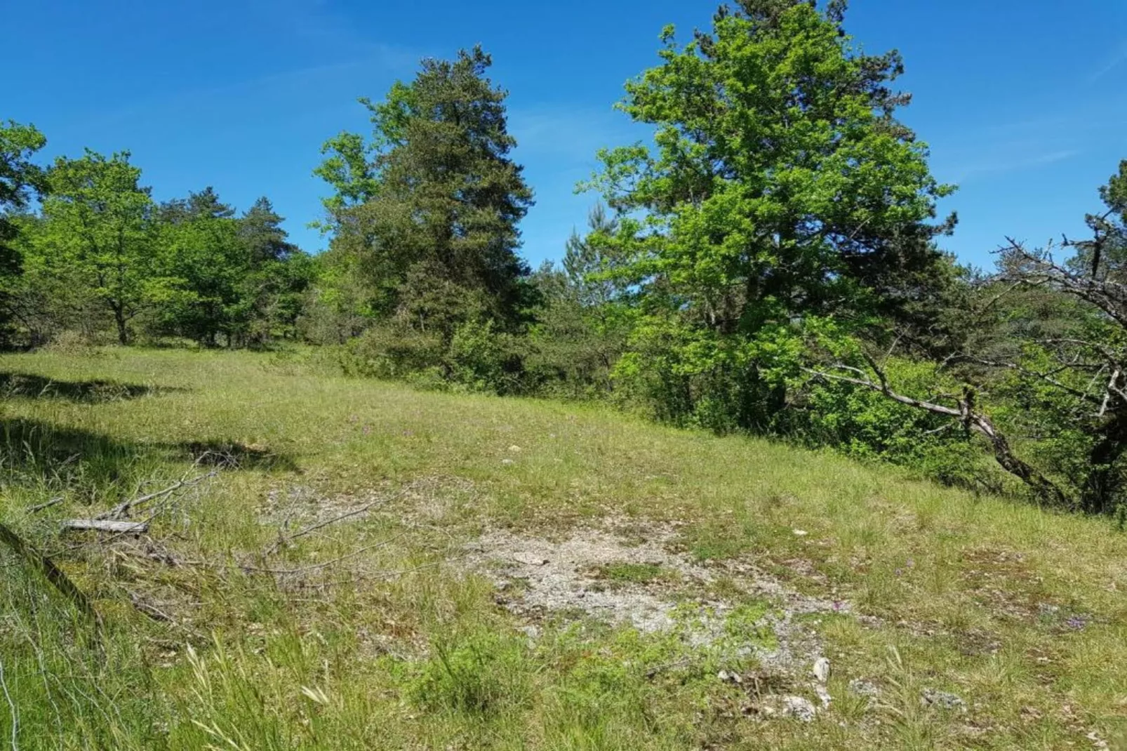 Résidence Le Hameau du Moulin 3-Gebieden zomer 20km