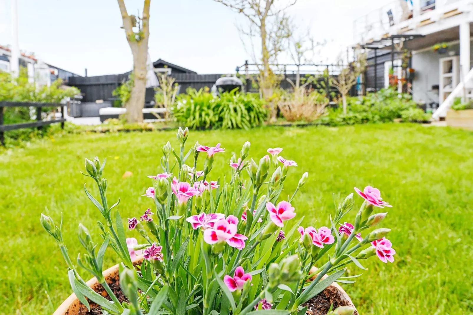 6 persoons vakantie huis in Otterup-By Traum-Buitenlucht