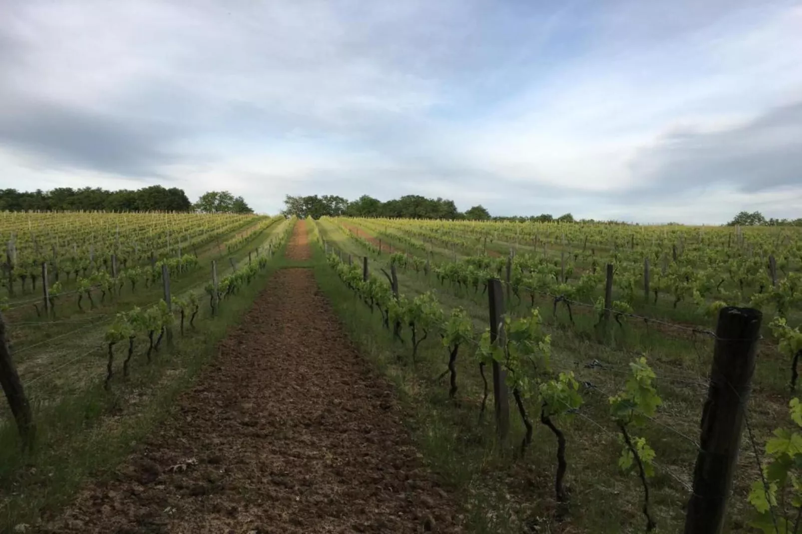 Villa Aubas-Gebieden zomer 20km