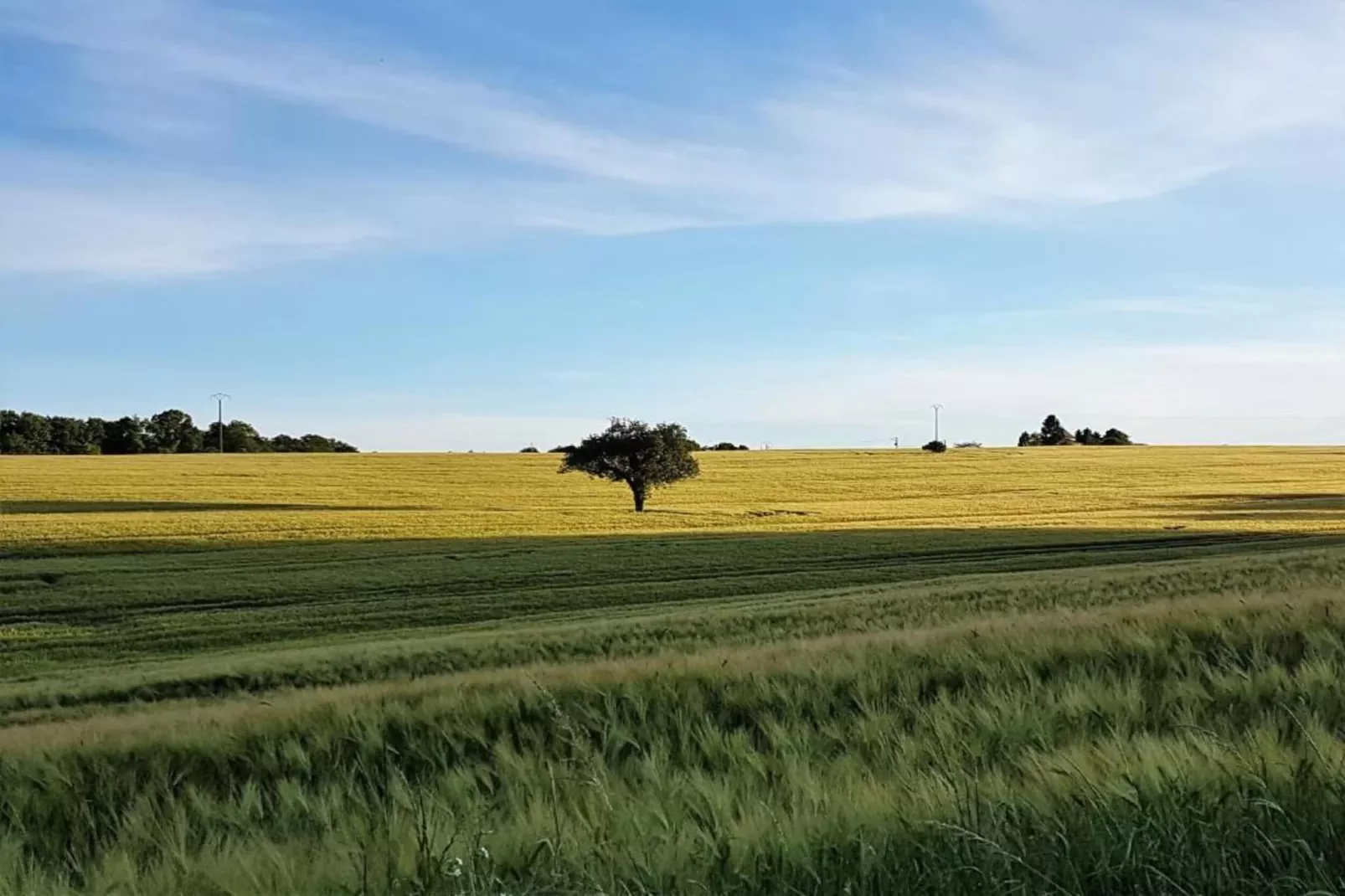 Gîte du Château-Gebieden zomer 5km