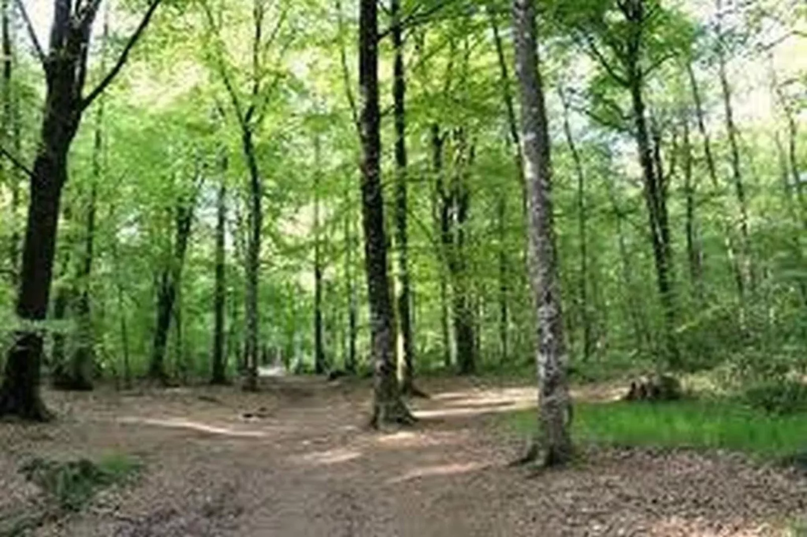 Résidence Le Domaine de l'Emeraude 3-Gebieden zomer 20km