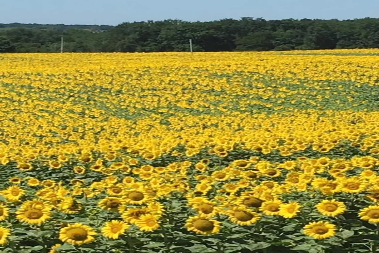 La Coquette-Gebieden zomer 20km