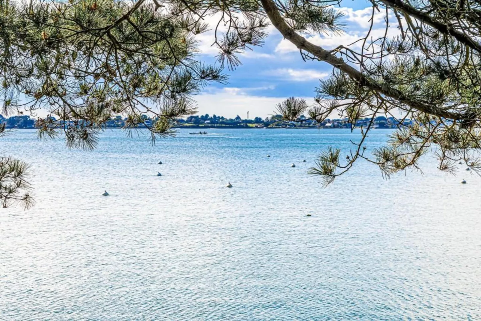Les Iles du Morbihan 2-Gebieden zomer 5km