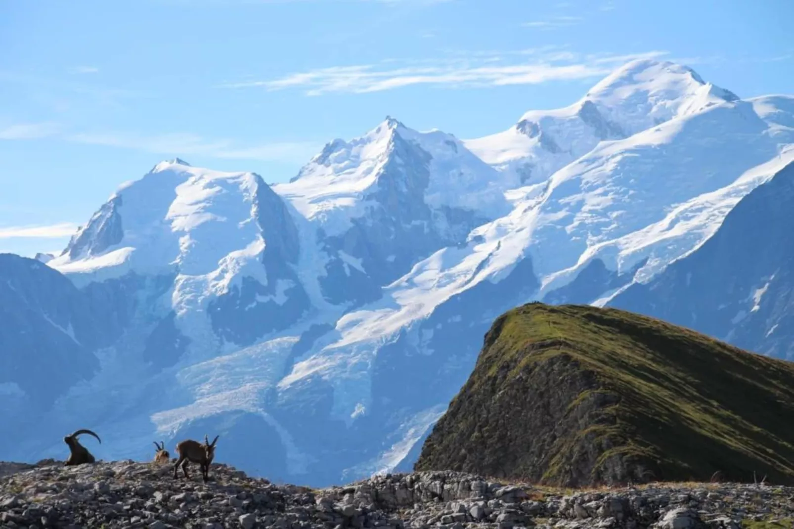 Les Portes du Grand Massif 6-Gebied winter 5km