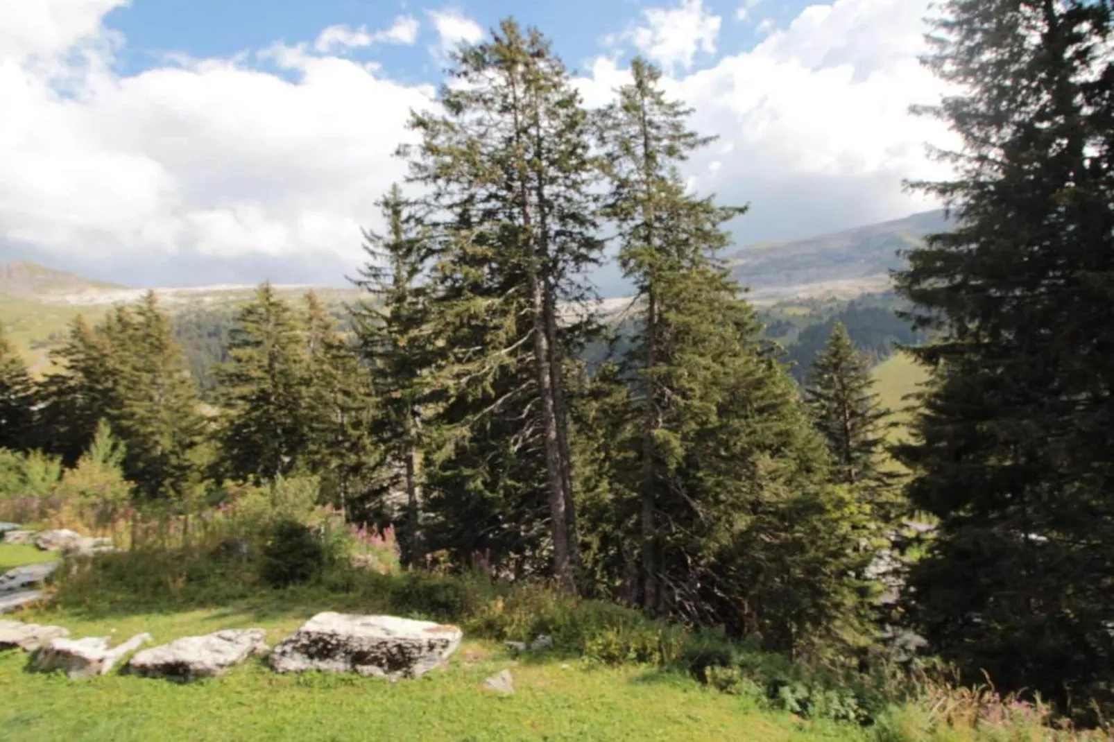 Les Portes du Grand Massif 8-Gebieden zomer 5km