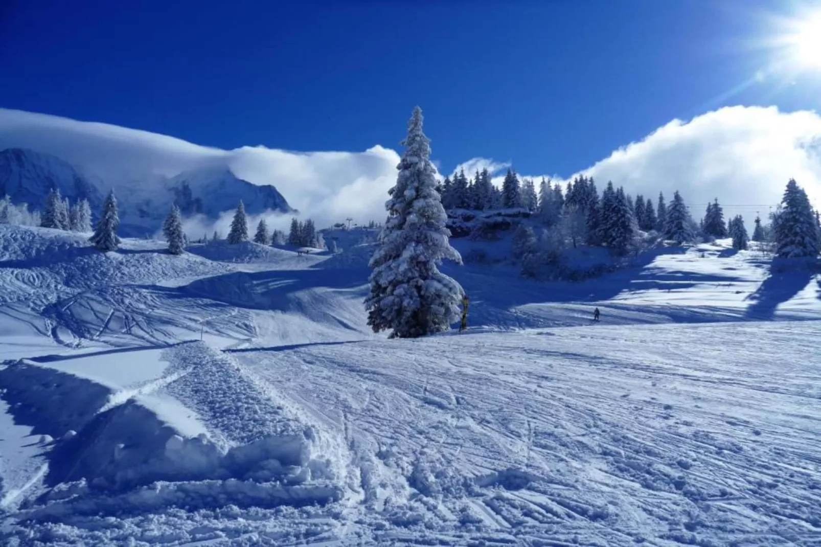 Chalet - LES HOUCHES-Gebieden zomer 5km