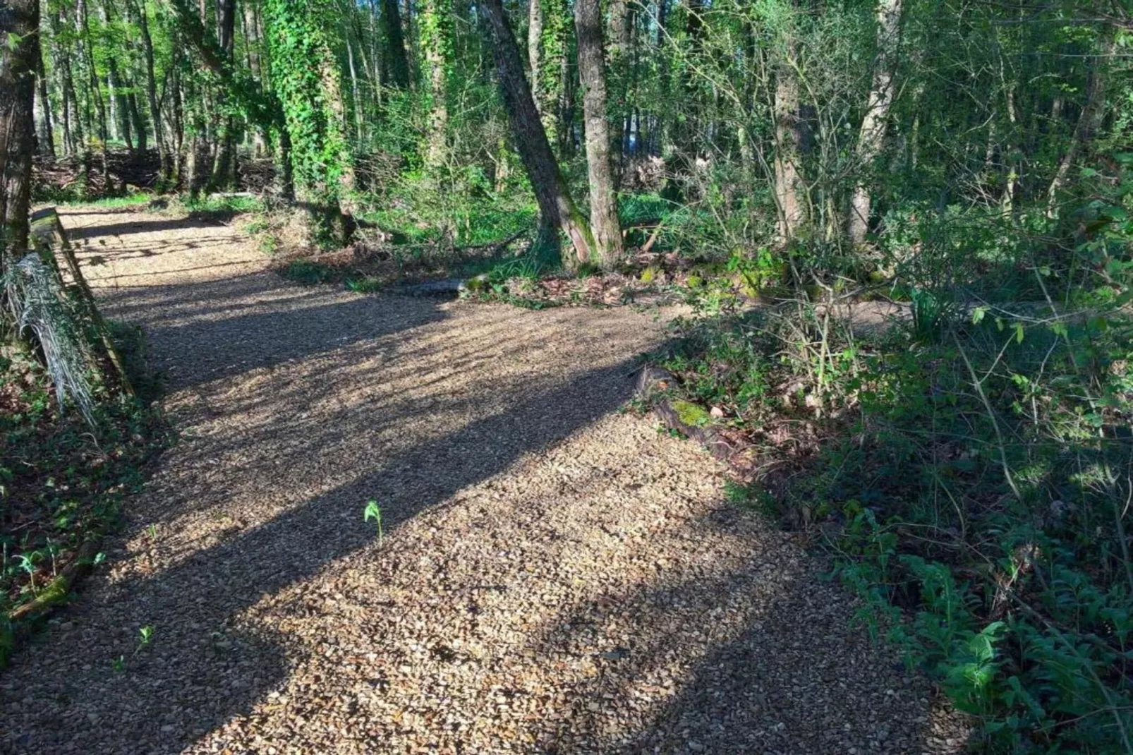 FranceComfort Domaine Les Forges 2-Gebieden zomer 20km