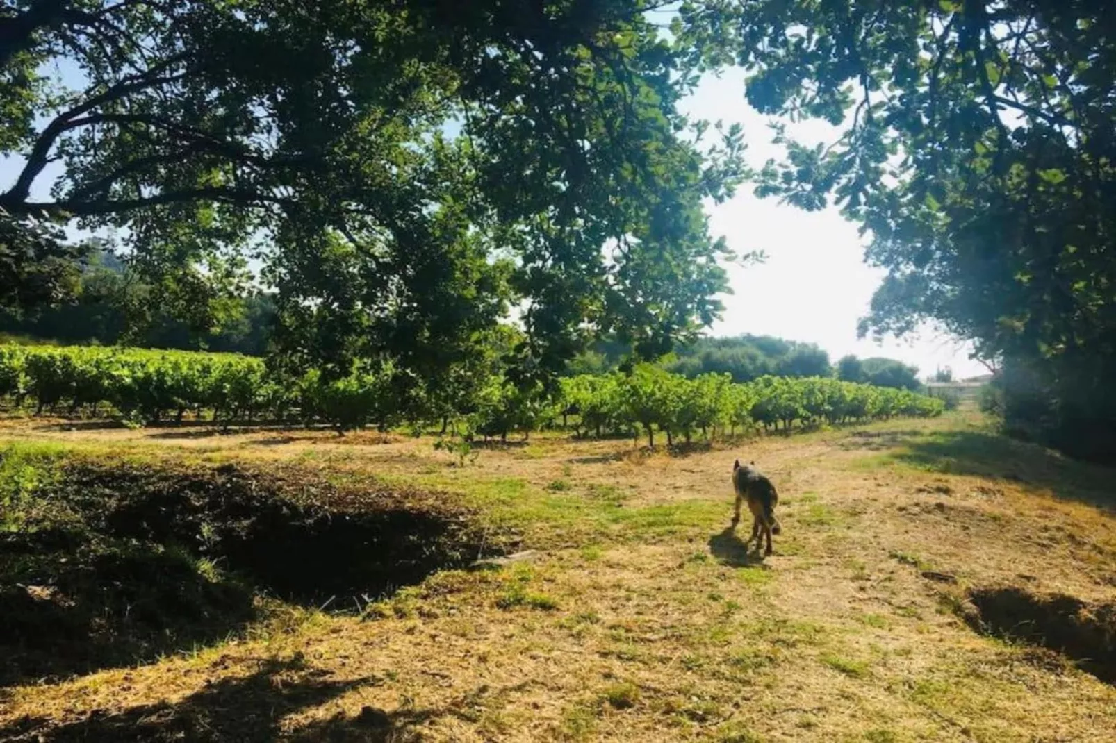 La Palmeraie 1-Gebieden zomer 5km