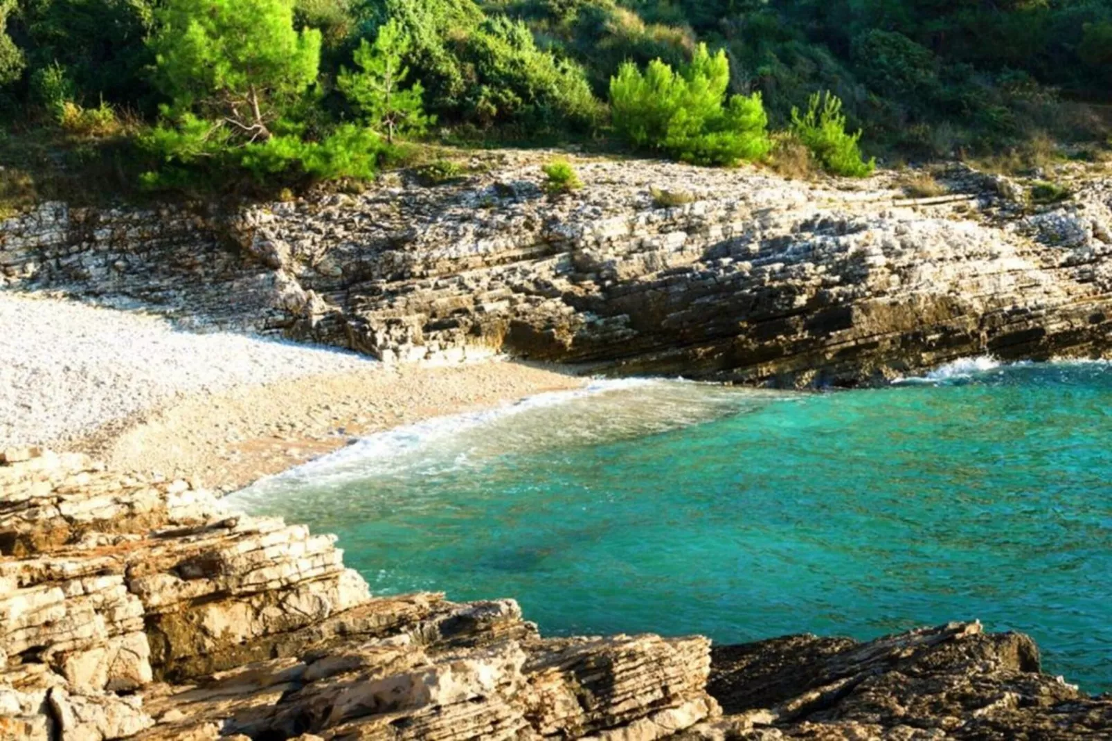 App Musoga 1-Gebieden zomer 20km