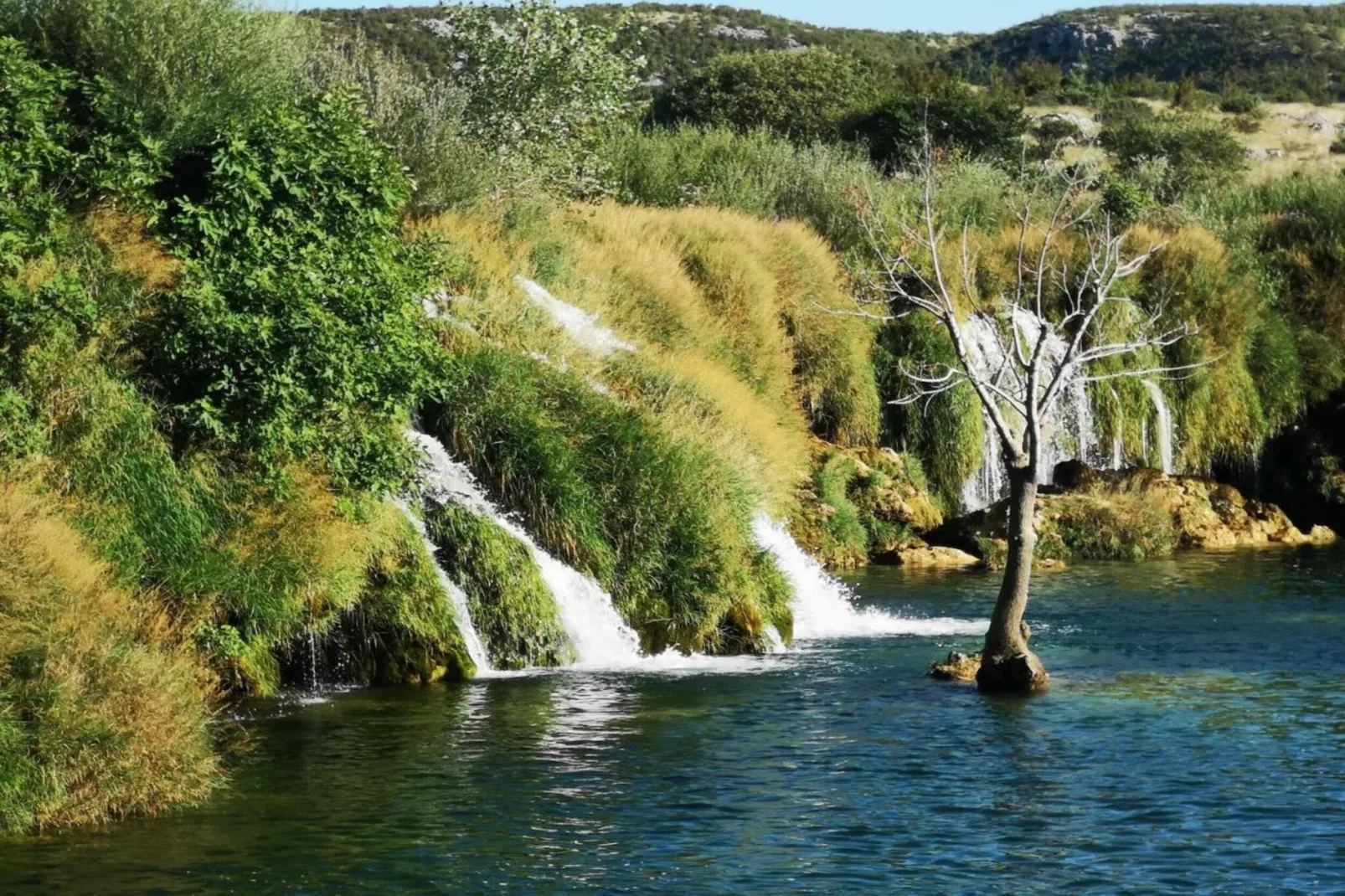 Apartments Sun-Mauro III-Gebieden zomer 20km