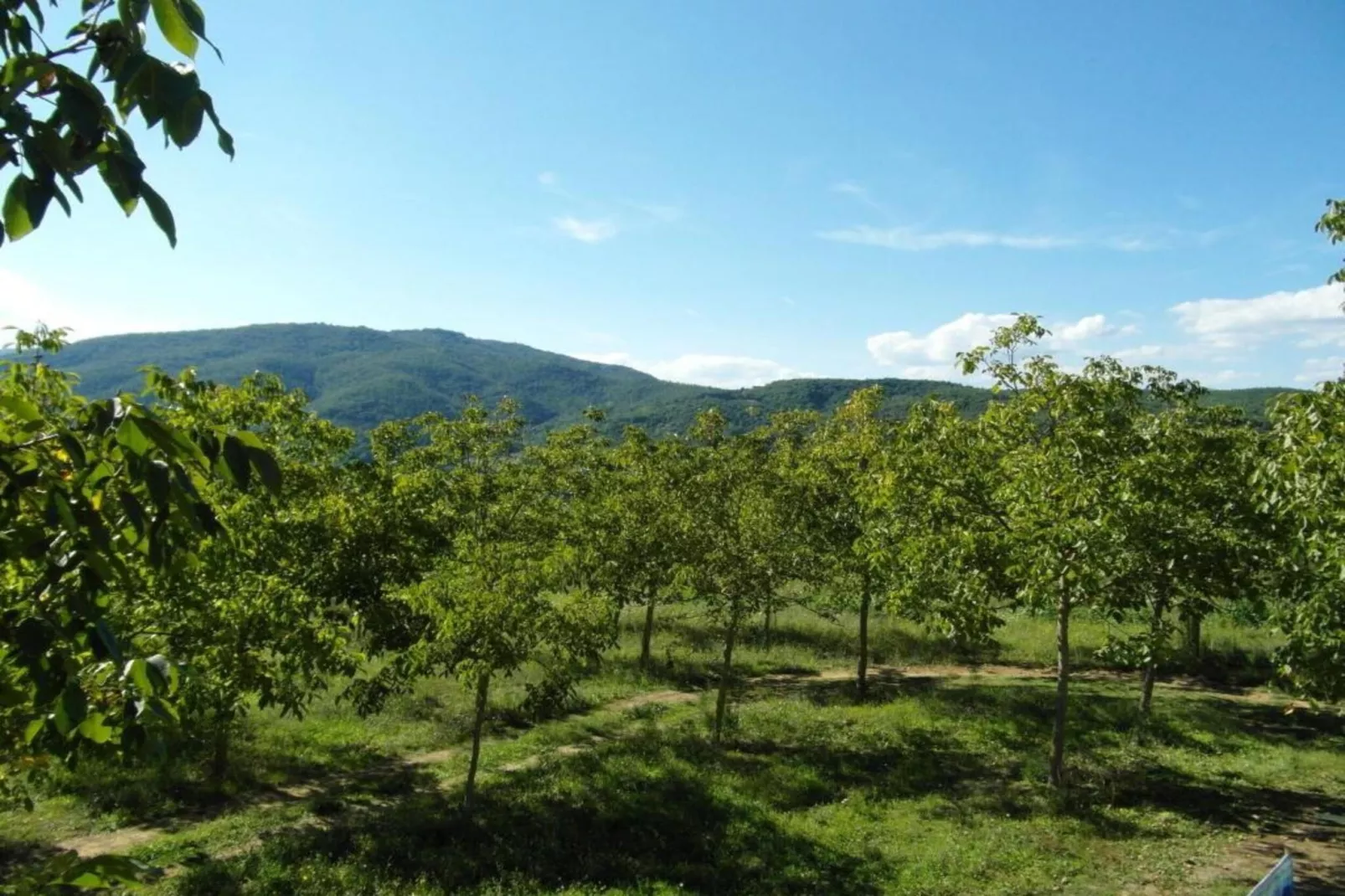 Appartamento per 3-Gebieden zomer 5km