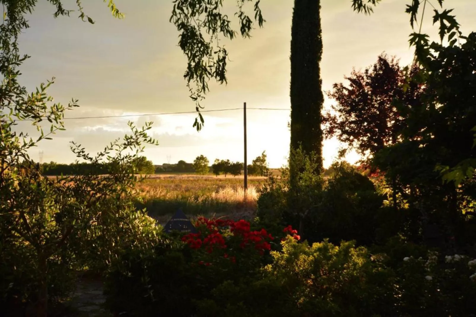 Luna Chiara-Gebieden zomer 20km