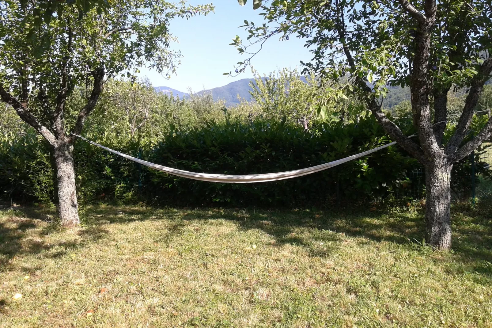 Casa Via Pieve-Tuinen zomer