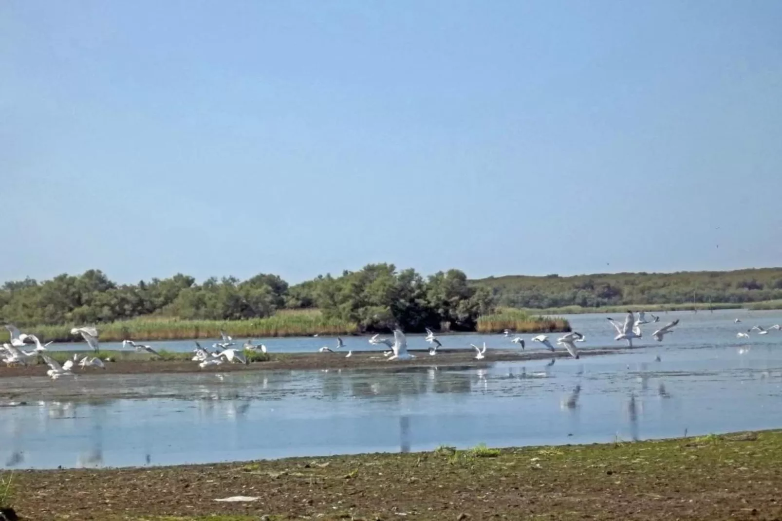 Oasi Bianca-Gebieden zomer 20km