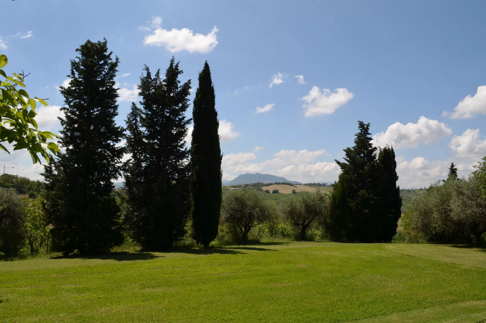 Villa degli Ulivi-Tuinen zomer