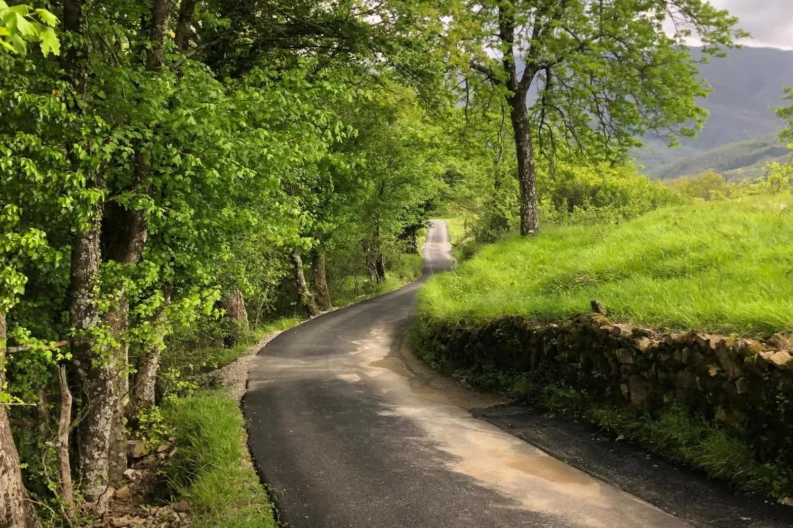 Val Di Lima Romantica-Gebieden zomer 5km