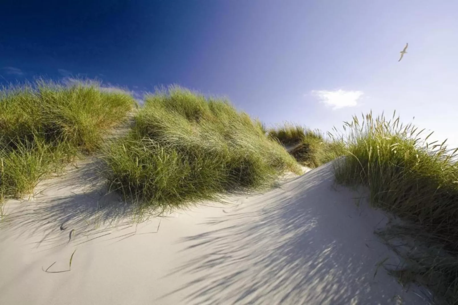 Residentie Californië 1-Gebieden zomer 20km