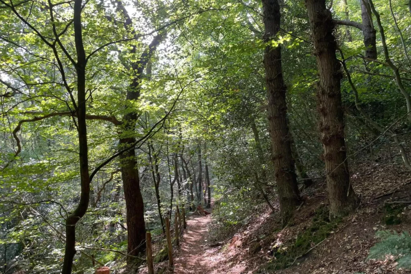 De Beukelaar 2pers-Gebieden zomer 20km