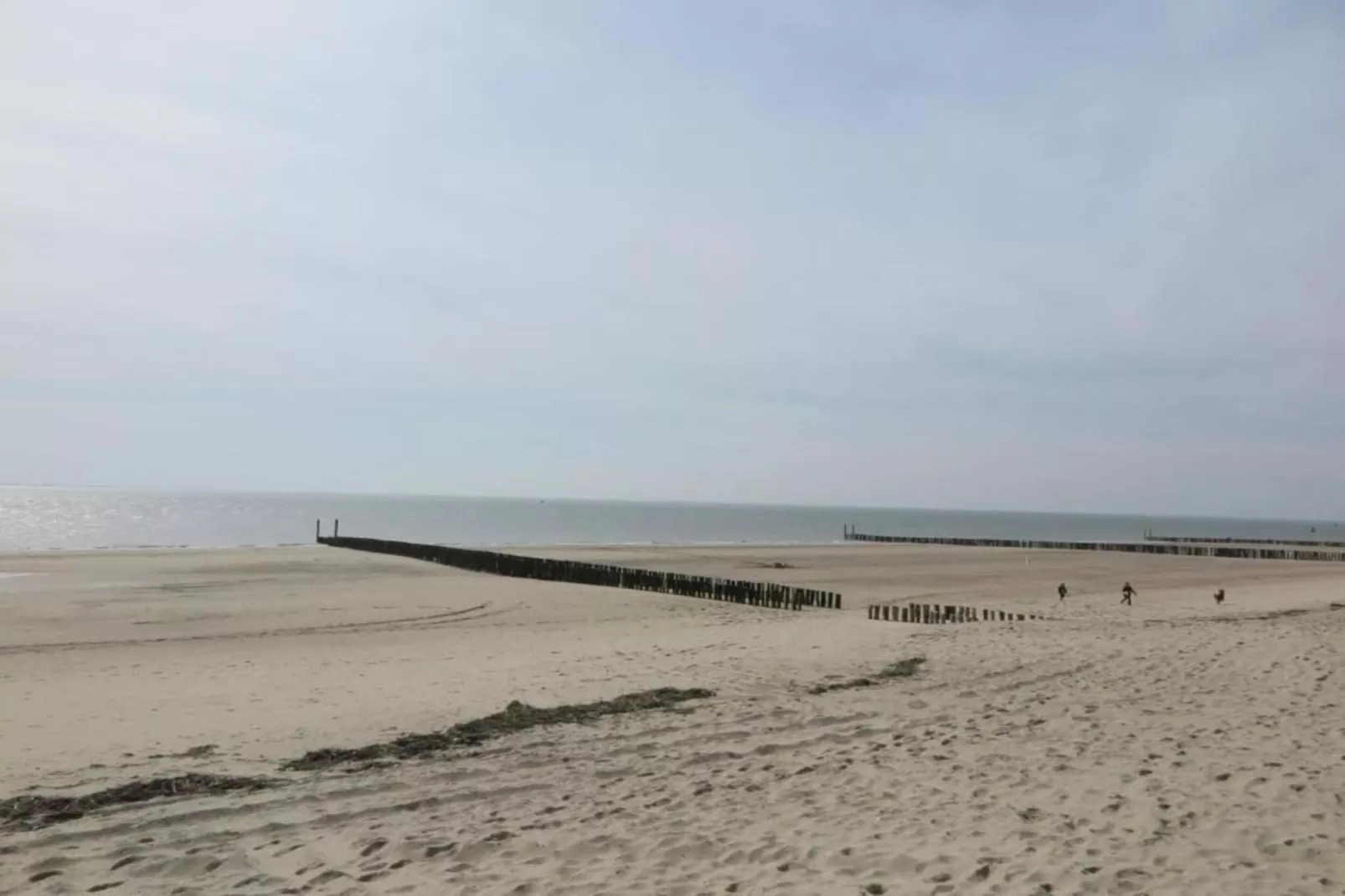 Noordzee Résidence Dishoek 6-Gebieden zomer 5km