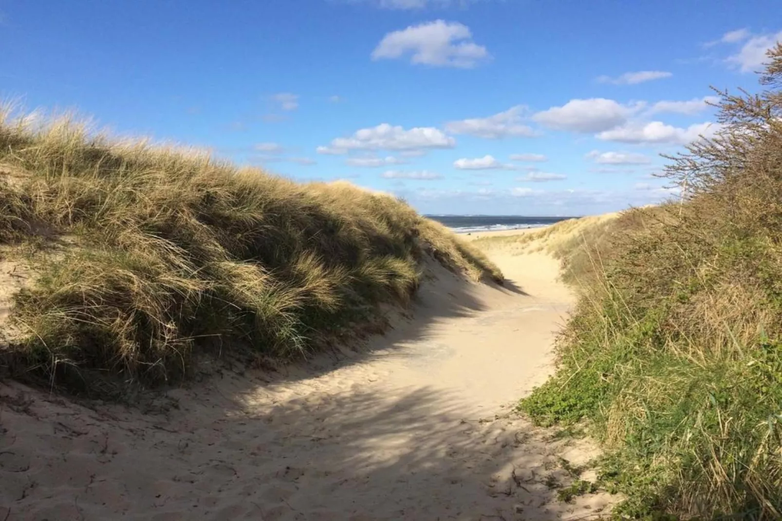 Vakantiepark Hof van Zeeland 2-Gebieden zomer 20km
