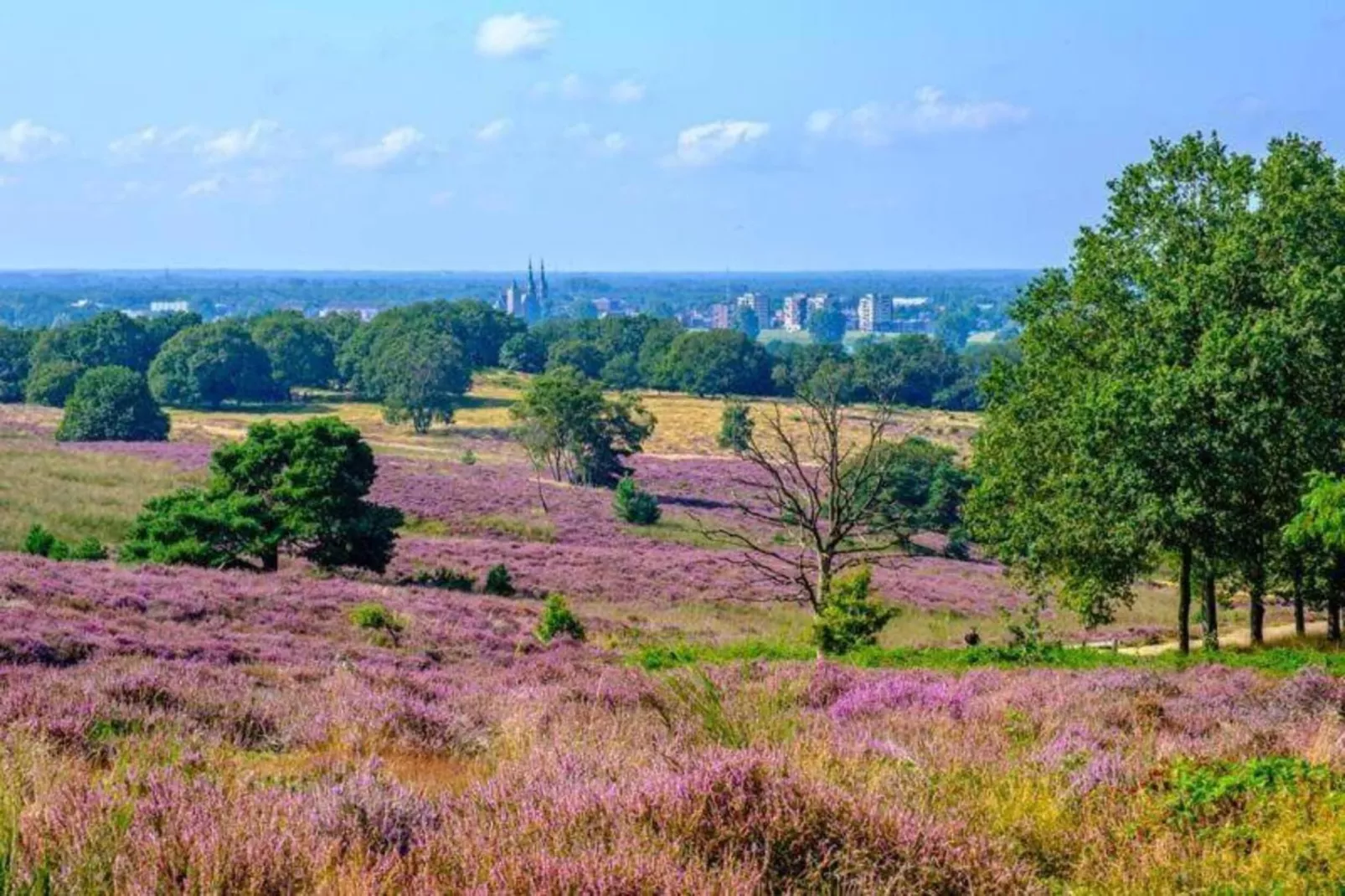 Vakantie bij Meeussen - Schuttersoord 2-Gebieden zomer 20km
