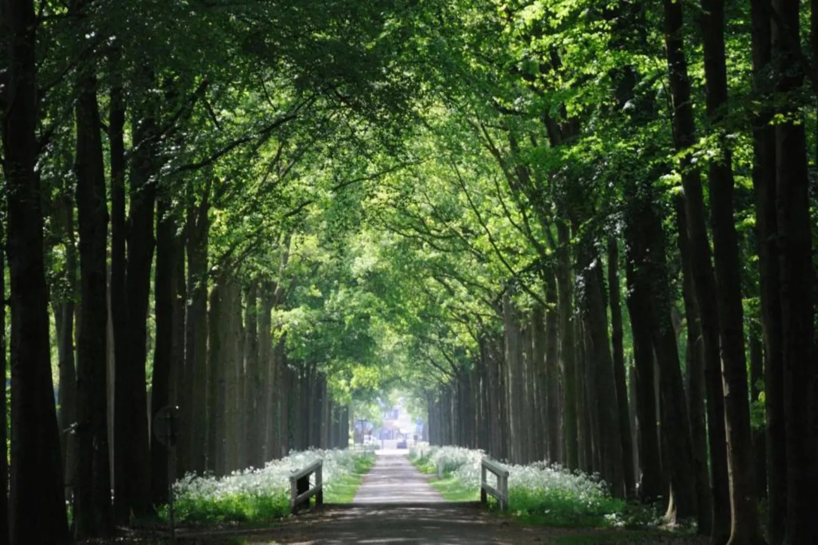 Vakantiepark Mölke 32-Gebieden zomer 20km