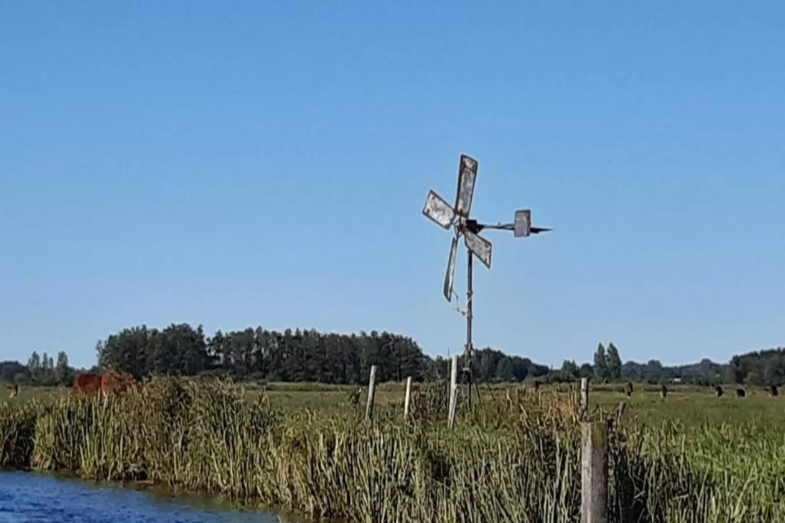 Waterpark Belterwiede 4-Gebieden zomer 20km