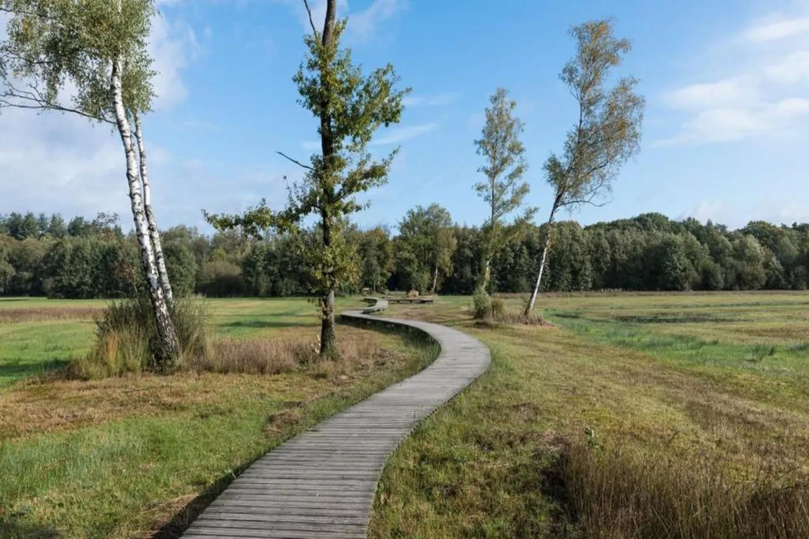 Bospark de Schaapskooi 8-Gebieden zomer 20km