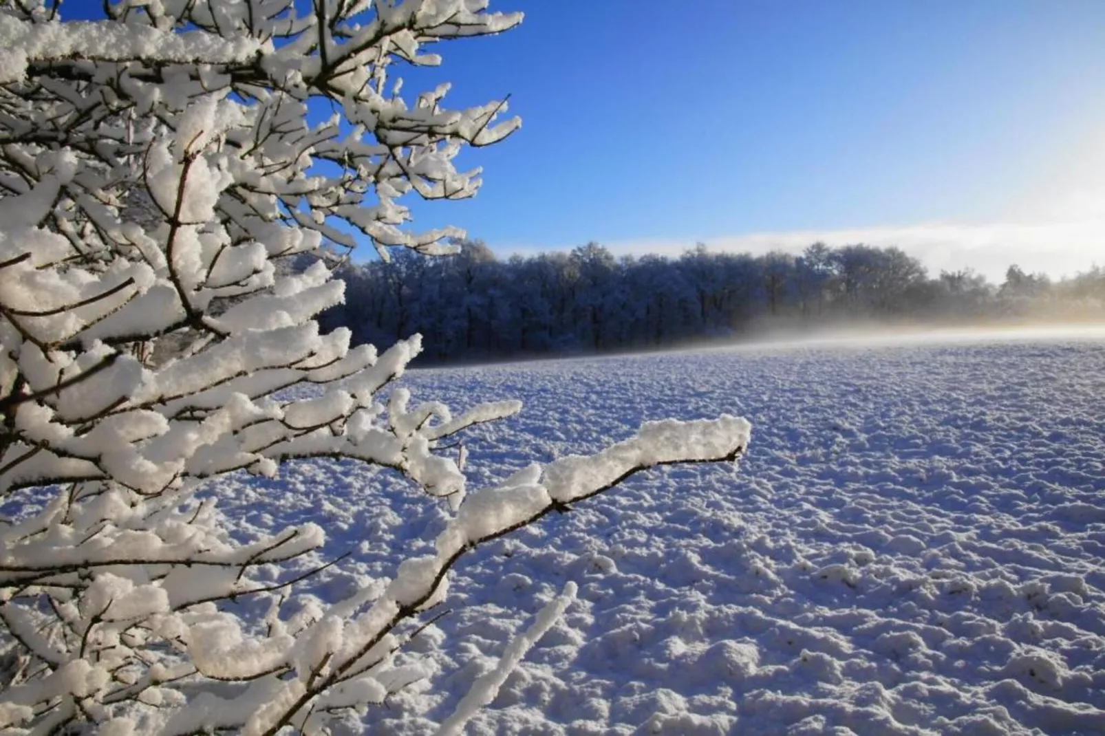 Residence De Eese 4-Gebied winter 20km