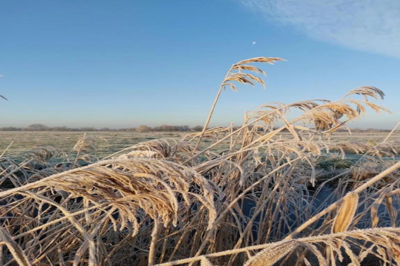 Chalet Klaske-Gebieden zomer 20km