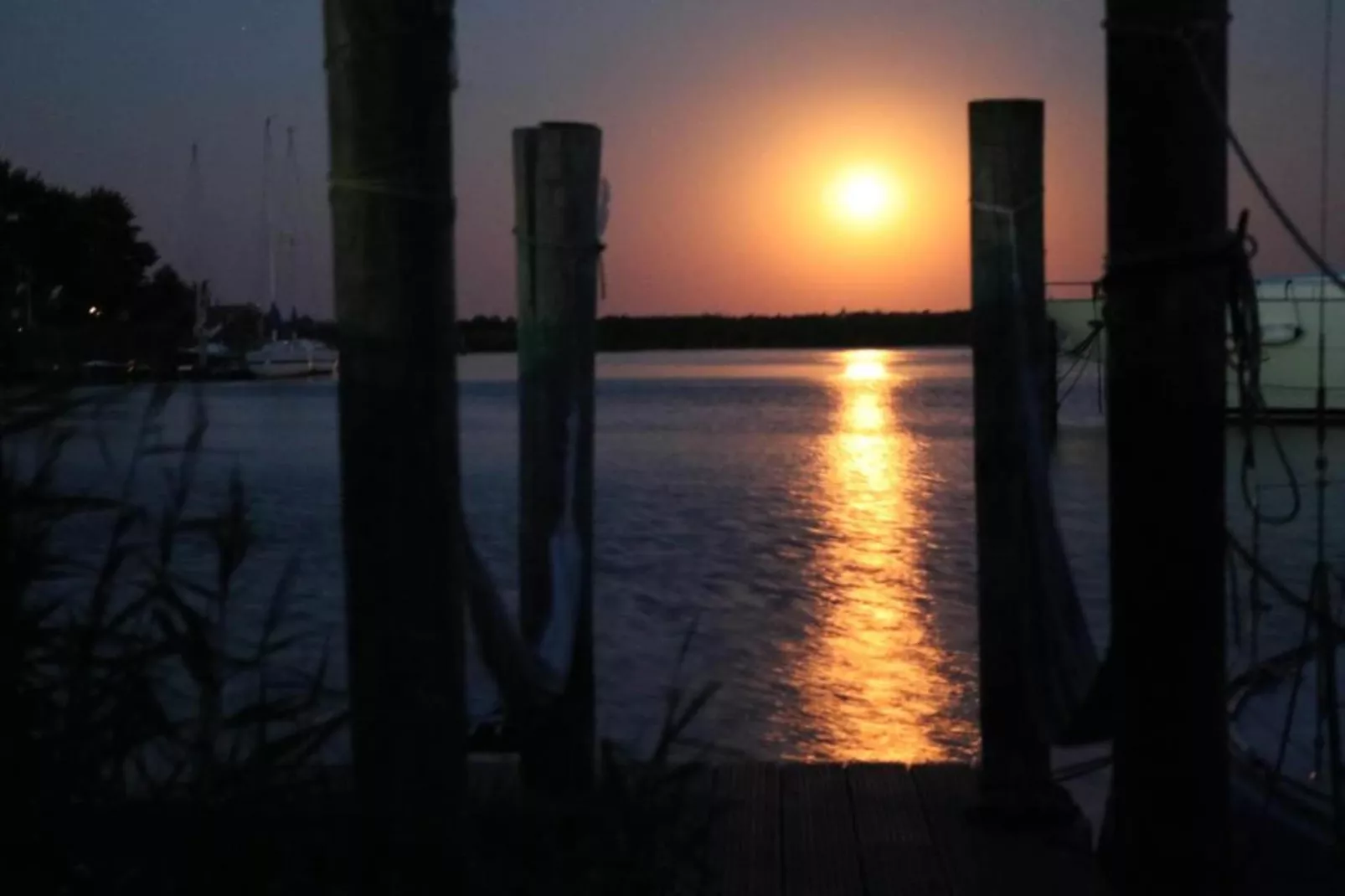 De Scholekster-Gebieden zomer 5km