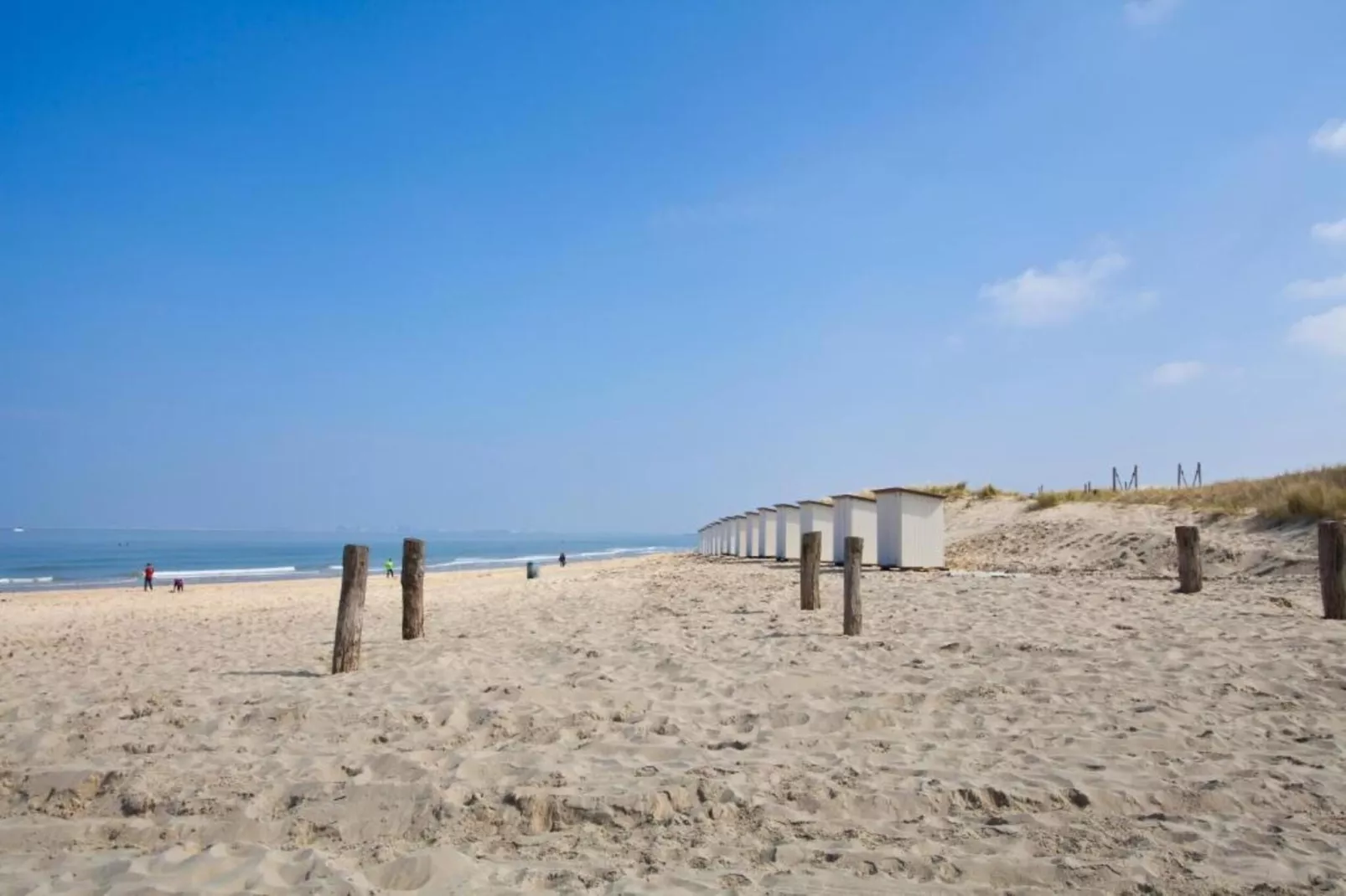 Vakantiepark Zeebad 19-Gebieden zomer 5km