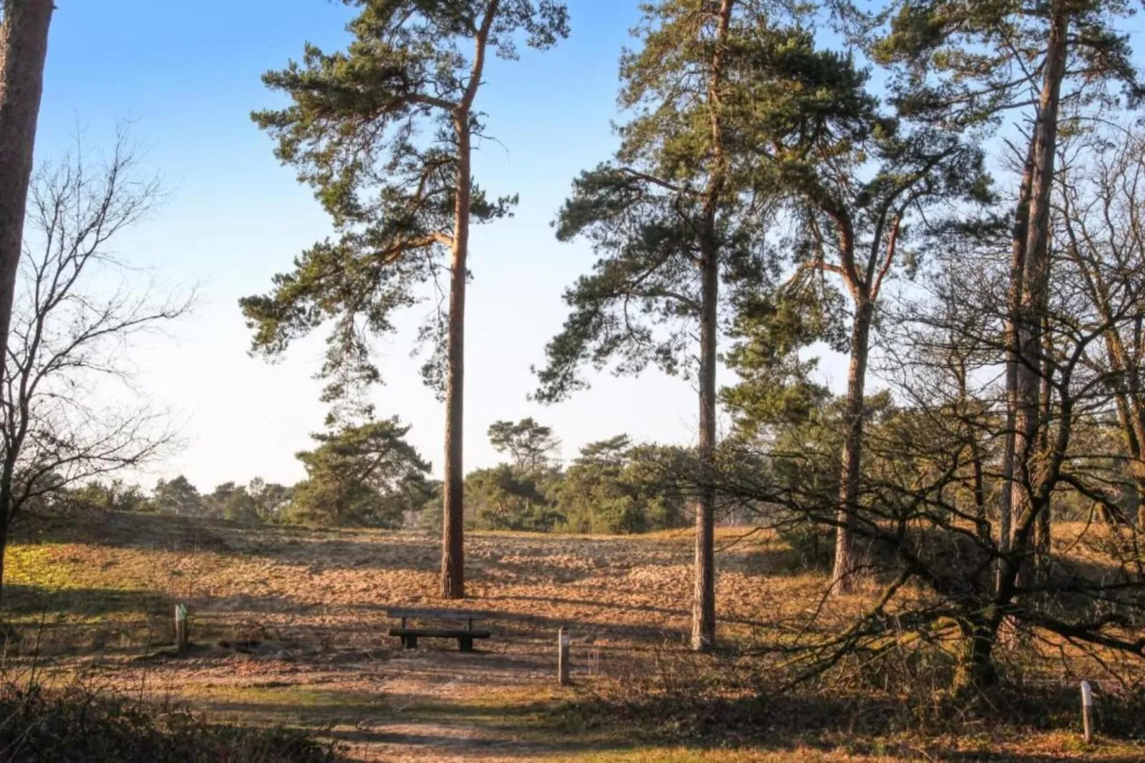 Vakantiepark Leukermeer 1-Gebieden zomer 20km