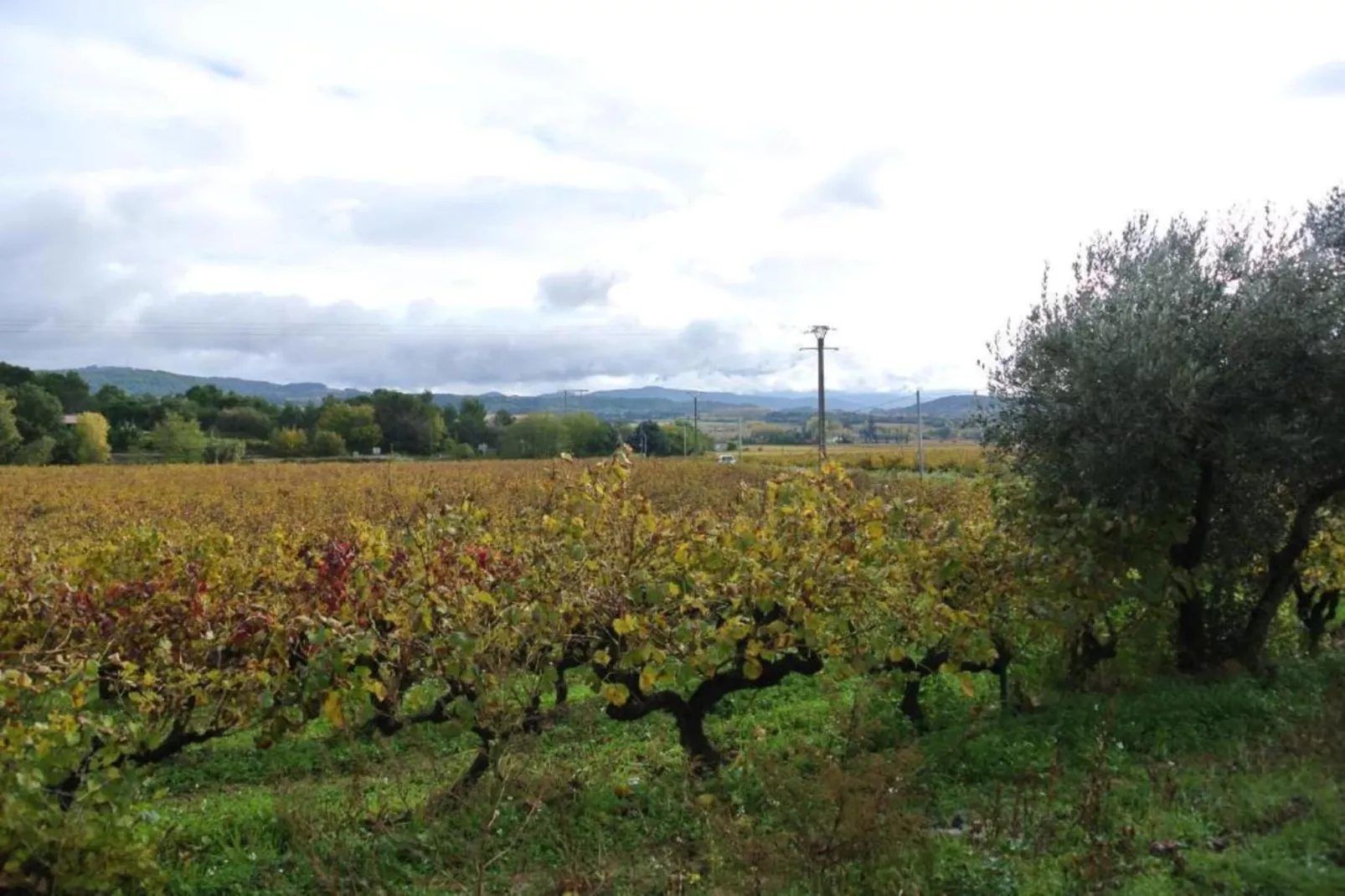 Laurence-Gebieden zomer 20km