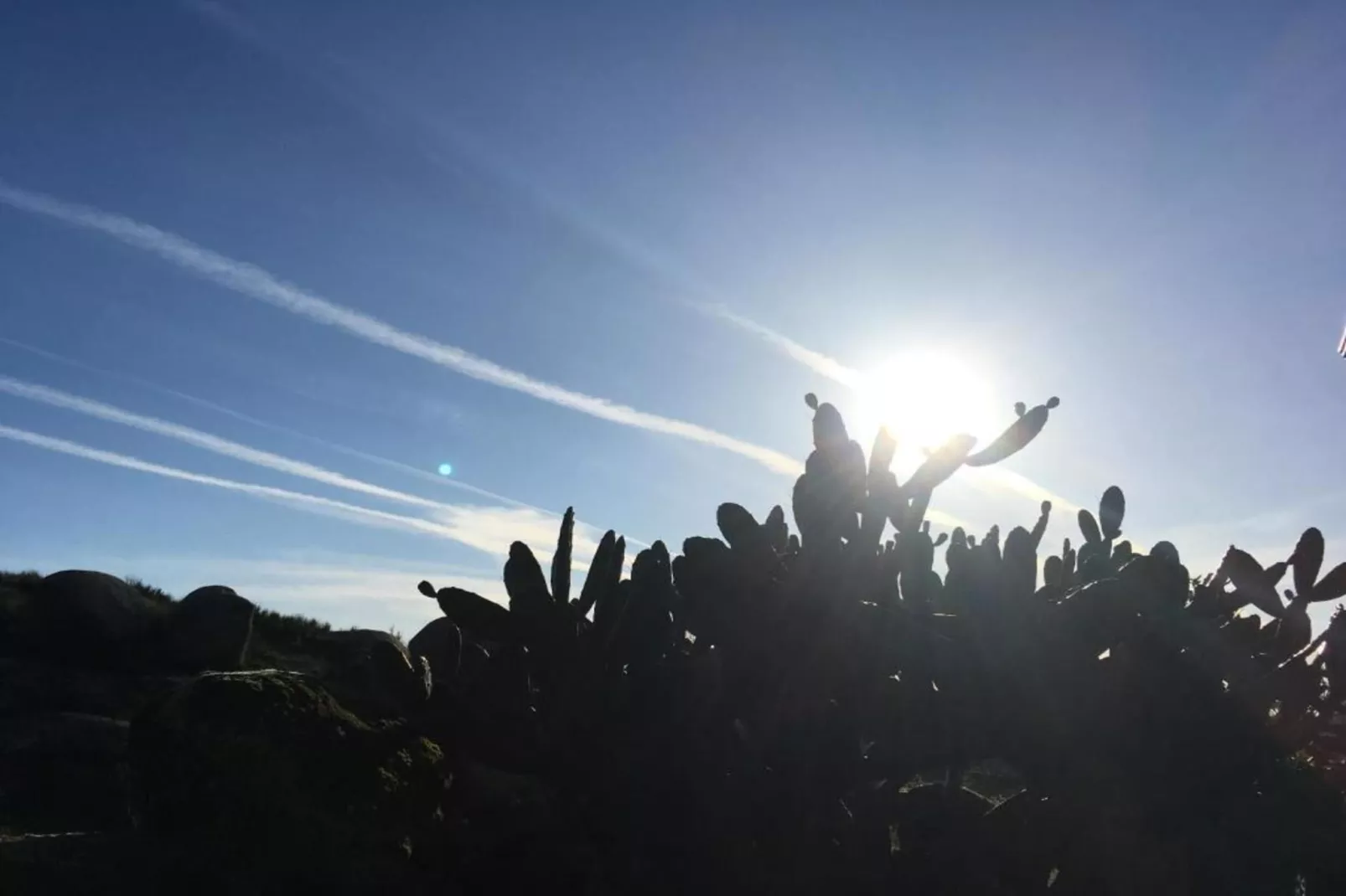 Casa Oliveirinha-Gebieden zomer 20km