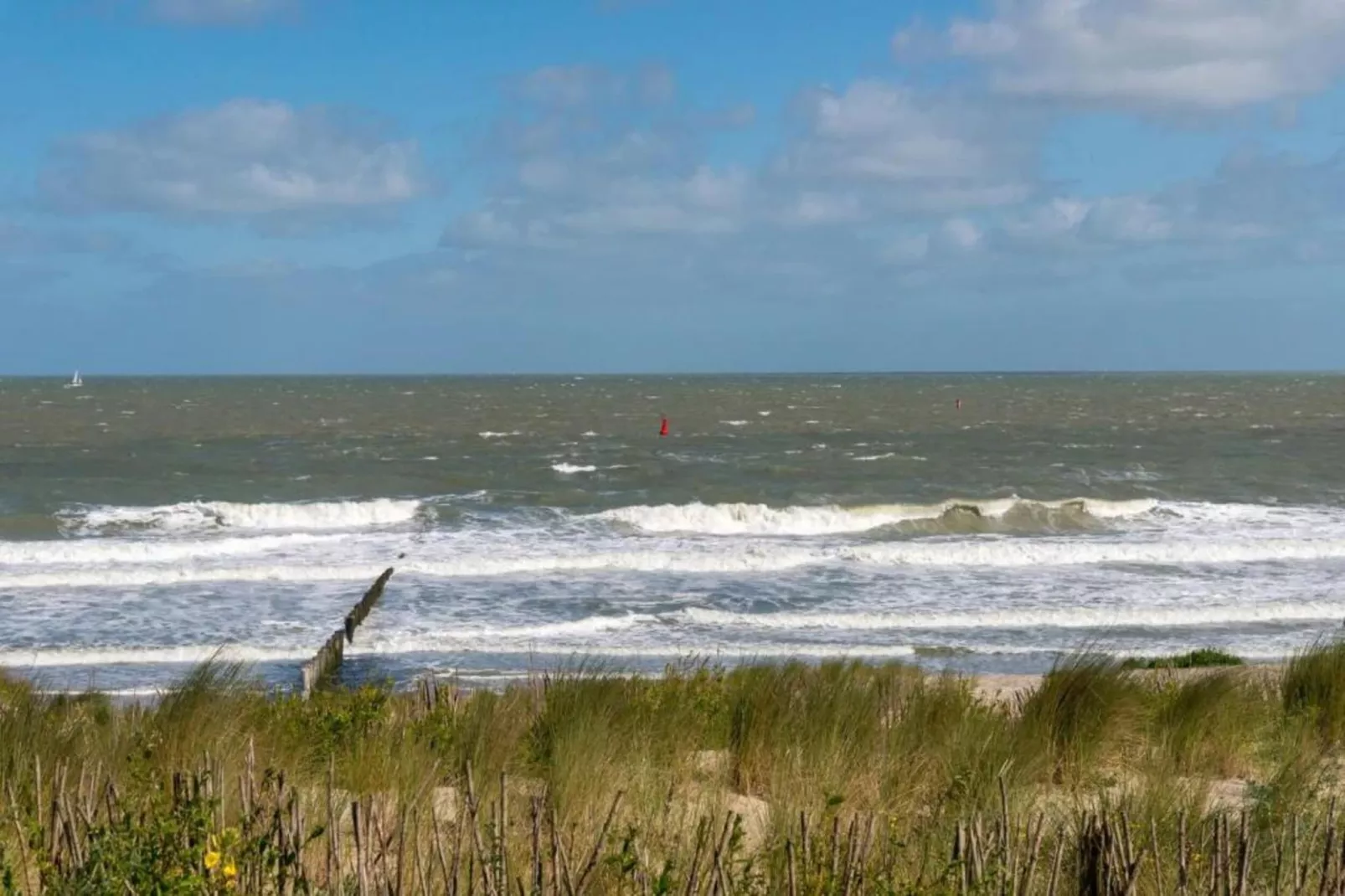 Noordzee Residence Cadzand-Bad 23 - Gebieden zomer 20km