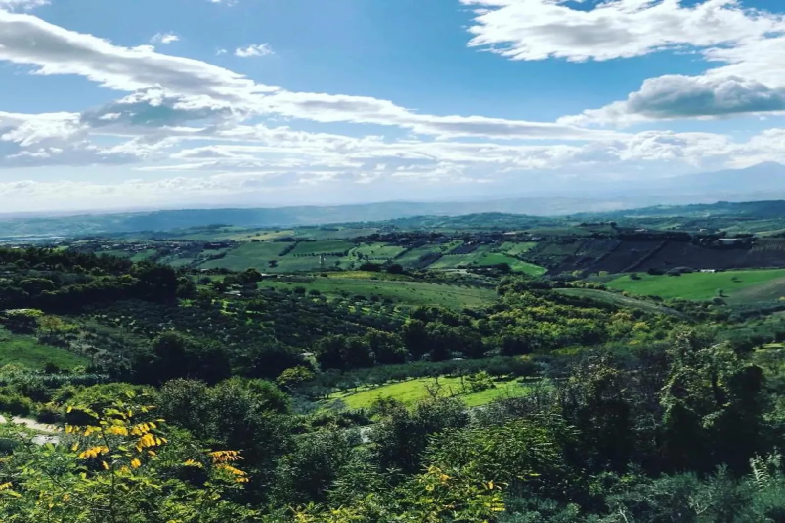 Lavanda-Gebieden zomer 5km